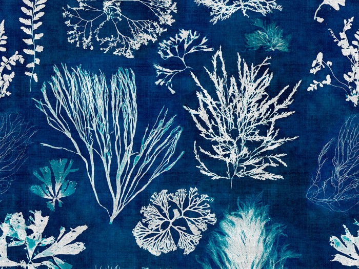 Detailansicht der Selected Walls Tapete Freeport Seaweed Wallpaper Col. 01