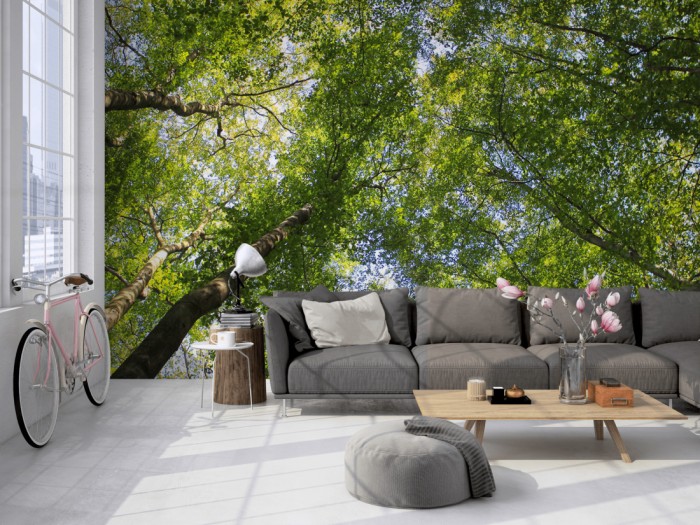 Die Fototapete Baumkronen im Laubwald auf einer großen Wand im Loft tapeziert. Die Fototapete Baumkronen im Laubwald wird individuell auf Deine Wand angepasst.