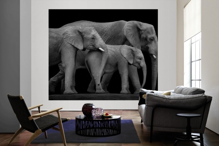 Die Fototapete Elefanten Familie, schwarz-weiß als große Bildtapete im Wohnzimmer. Als Bildtapete ist die Fototapete Elefanten Familie, schwarz-weiß ein besonderes Highlight auf Vliestapete.