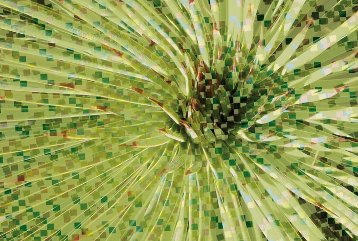 Die Design-Fototapete 3D-Geometrie Blumen Blüte, eine Vlies-Fototapete bei Livingwalls Cologne online kaufen. Die Design-Fototapete 3D-Geometrie Blumen Blüte ist eine Fototapete auf Maß.