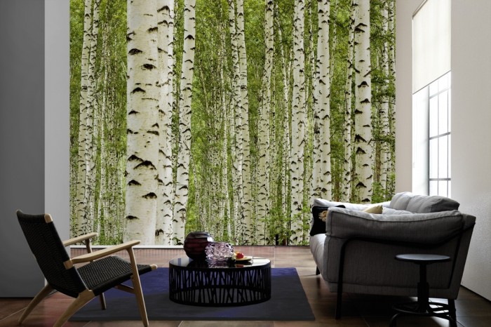 Im Wohnzimmer die Fototapete Birkenwald im Sommer auf einer großen Wand tapeziert. Die Fototapete Birkenwald im Sommer ist als Vlies-Fototapete im Wohnzimmer leicht zu tapezieren.