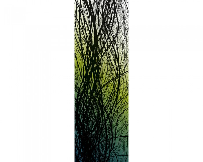 Du möchtest das Design-Fotopanel Feine Linien Schwarz auf Grün, Artwork online bestellen, aber du benötigst andere Abmessungen? Kontaktiere uns einfach!