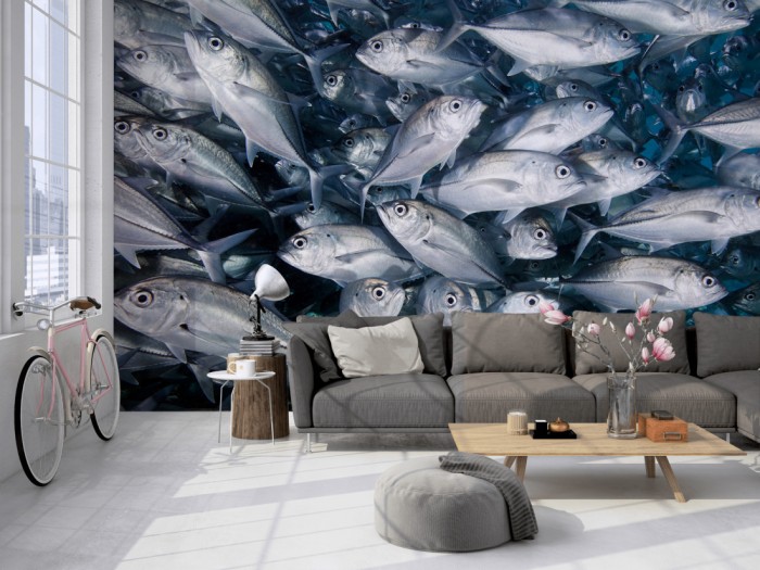 Die Fototapete Fische im Schwarm, Amberjacks auf einer großen Wand im Loft tapeziert. Die Fototapete Fische im Schwarm, Amberjacks wird individuell auf Deine Wand angepasst.