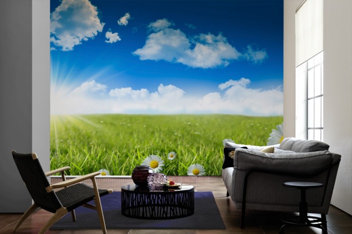 Im Wohnzimmer die Fototapete Sommerwiese unter blauem Himmel auf einer großen Wand tapeziert. Die Fototapete Sommerwiese unter blauem Himmel ist als Vlies-Fototapete im Wohnzimmer leicht zu tapezieren.