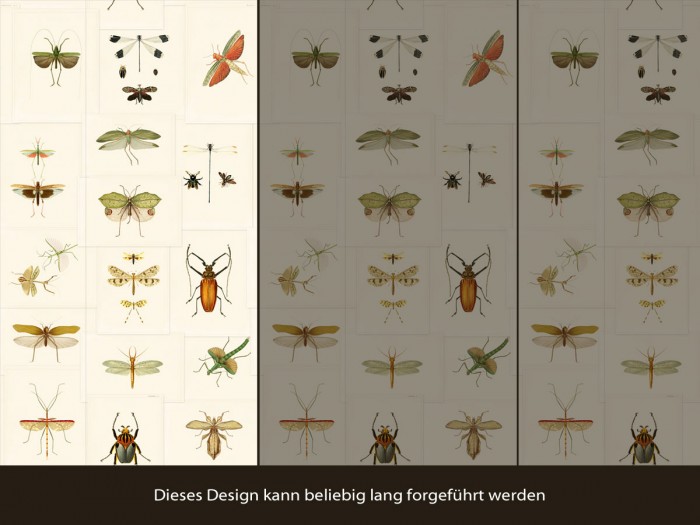 Gesamtansicht der Selected Walls Tapete Apetina Insects Wallpaper Col. 01