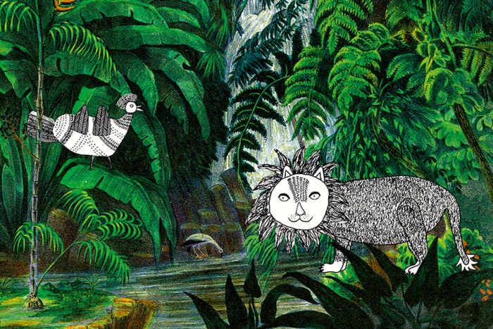 Die Design-Fototapete Dschungel, Oilily Kids, eine Vlies-Fototapete bei Livingwalls Cologne online kaufen. Die Design-Fototapete Dschungel, Oilily Kids ist eine Fototapete auf Maß.