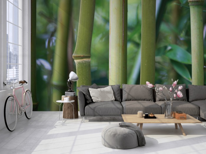 Die Fototapete Bambus im Detail auf einer großen Wand im Loft tapeziert. Die Fototapete Bambus im Detail wird individuell auf Deine Wand angepasst.