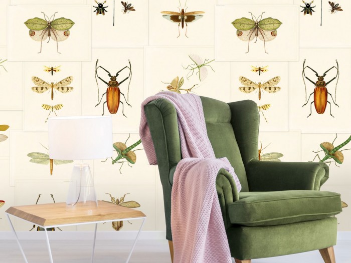 Raumansicht der Selected Walls Tapete Apetina Insects Wallpaper Col. 01