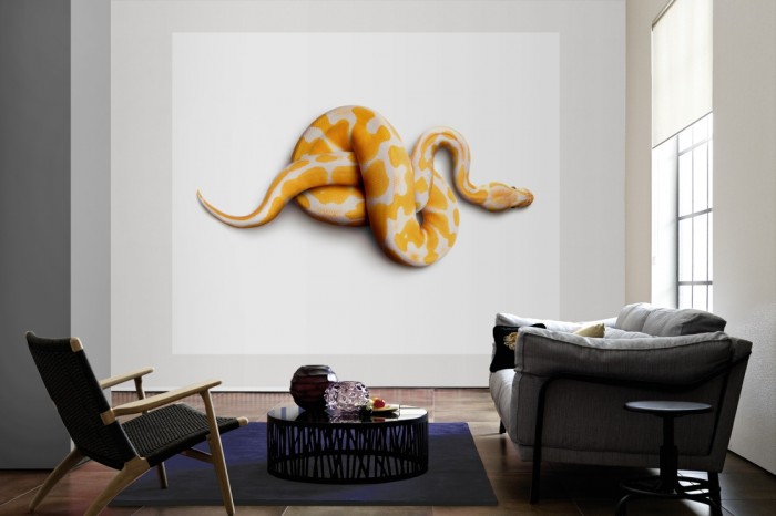 Die Fototapete Schlange Albino-Python, Fotografie by Mark Laita als große Bildtapete im Wohnzimmer. Als Bildtapete ist die Fototapete Schlange Albino-Python, Fotografie by Mark Laita ein besonderes Highlight auf Vliestapete.
