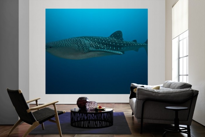 Die Fototapete Walhai im tiefen Meer als große Bildtapete im Wohnzimmer. Als Bildtapete ist die Fototapete Walhai im tiefen Meer ein besonderes Highlight auf Vliestapete.