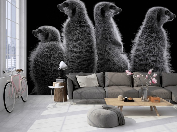 Die Fototapete Erdmännchen, schwarz-weiß auf einer großen Wand im Loft tapeziert. Die Fototapete Erdmännchen, schwarz-weiß wird individuell auf Deine Wand angepasst.