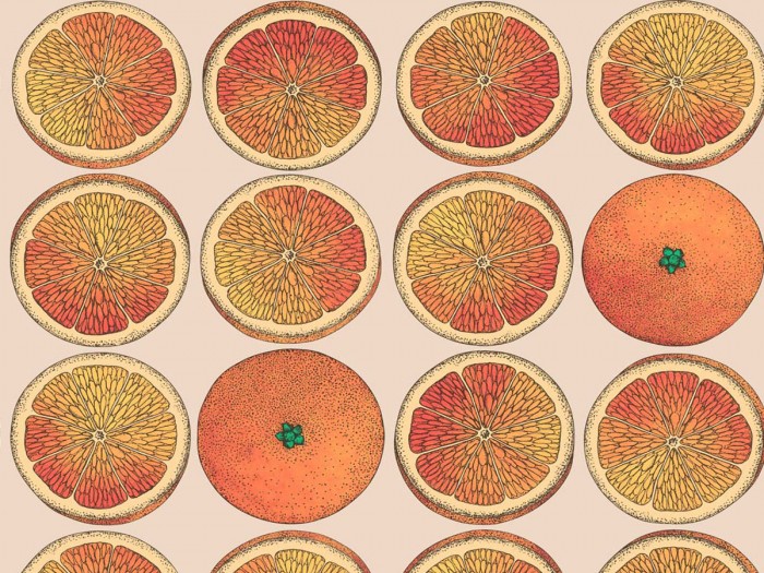 Ansicht der Fornasetti Tapete 114/24047 Arance von Cole and Son