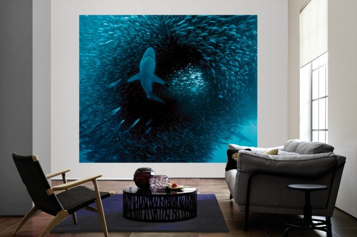 Die Fototapete Hai auf Jagd nach Fischen als große Bildtapete im Wohnzimmer. Als Bildtapete ist die Fototapete Hai auf Jagd nach Fischen ein besonderes Highlight auf Vliestapete.