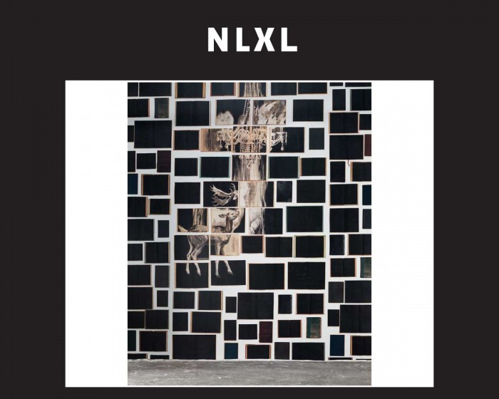 Die NLXL Tapete EKA-05 Biblioteca von Ekaterina Panikanova tapeziert an einer Wand.