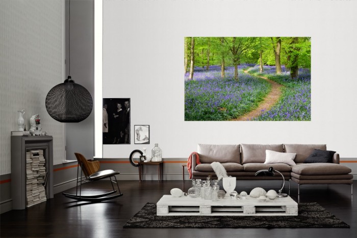 Die Fototapete Waldweg mit Blumen im Sommer als Wandbild im Wohnzimmer. Die Vlies-Fototapete Waldweg mit Blumen im Sommer verschönert als Wandbild Deine Wand.