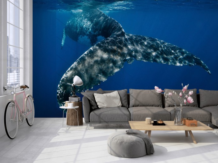 Die Fototapete Wal im Ozean auf einer großen Wand im Loft tapeziert. Die Fototapete Wal im Ozean wird individuell auf Deine Wand angepasst.