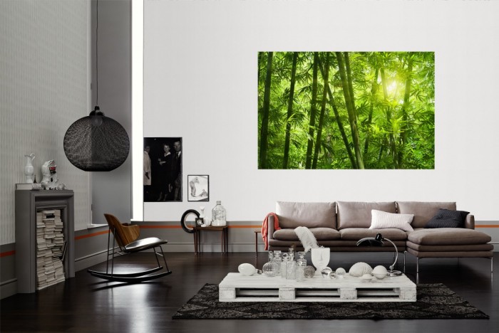 Die Fototapete Bambus Wald mit Blättern als Wandbild im Wohnzimmer. Die Vlies-Fototapete Bambus Wald mit Blättern verschönert als Wandbild Deine Wand.