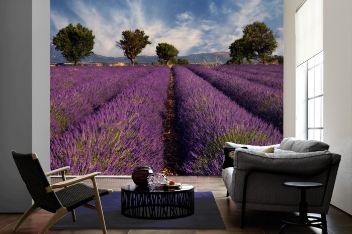 Im Wohnzimmer die Fototapete Lavendel Feld der Provence, Frankreich auf einer großen Wand tapeziert. Die Fototapete Lavendel Feld der Provence, Frankreich ist als Vlies-Fototapete im Wohnzimmer leicht zu tapezieren.