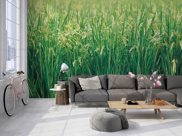 Die Fototapete Gras, Sommerwiese auf einer großen Wand im Loft tapeziert. Die Fototapete Gras, Sommerwiese wird individuell auf Deine Wand angepasst.