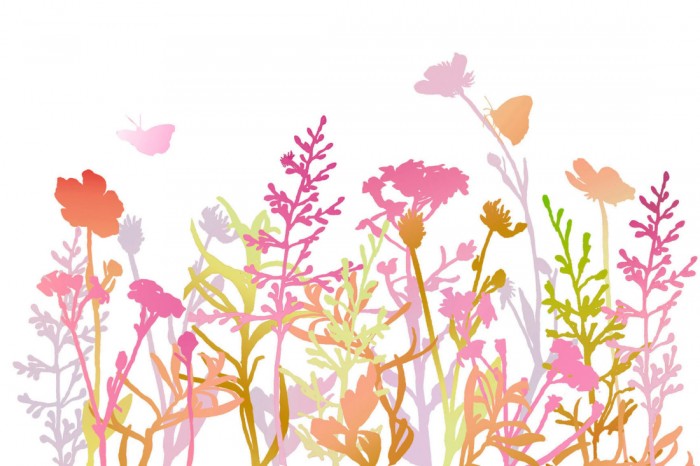 Die Design-Fototapete Bunte Blumenwiese, Artwork, eine Vlies-Fototapete bei Livingwalls Cologne online kaufen. Die Design-Fototapete Bunte Blumenwiese, Artwork ist eine Fototapete auf Maß.