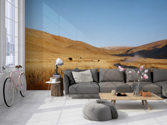Die Fototapete Grassland in Amerika auf einer großen Wand im Loft tapeziert. Die Fototapete Grassland in Amerika wird individuell auf Deine Wand angepasst.
