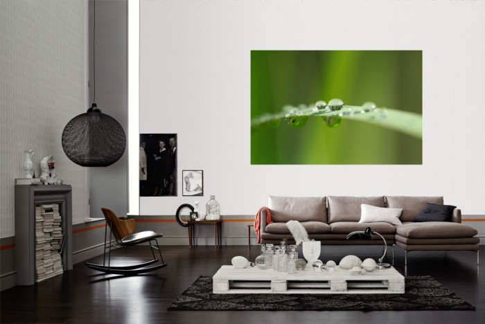 Die Fototapete Grashalm mit Wassertropfen als Wandbild im Wohnzimmer. Die Vlies-Fototapete Grashalm mit Wassertropfen verschönert als Wandbild Deine Wand.