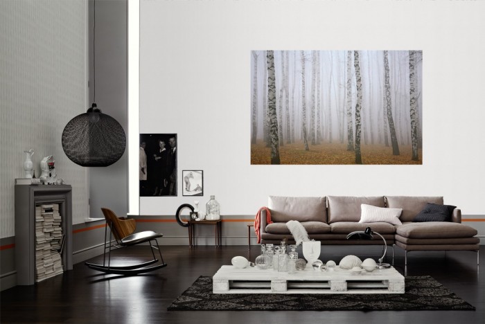 Die Fototapete Birkenwald im Nebel als Wandbild im Wohnzimmer. Die Vlies-Fototapete Birkenwald im Nebel verschönert als Wandbild Deine Wand.