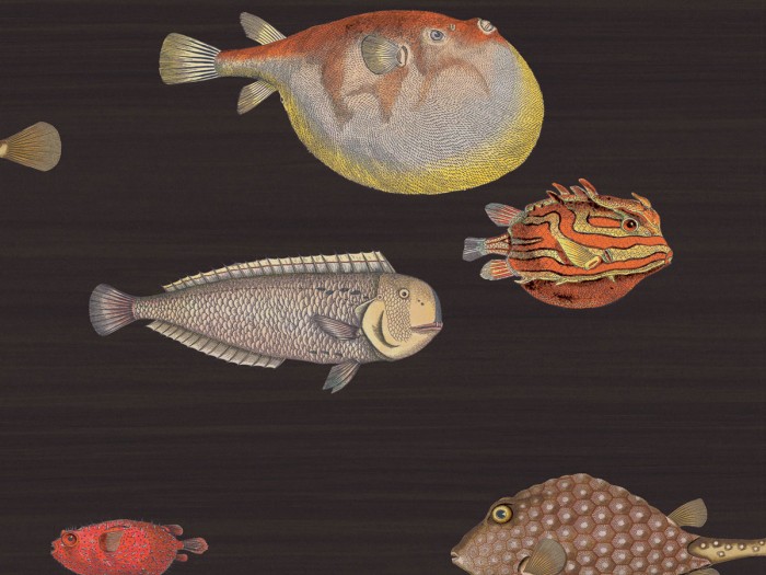 Ansicht der Fornasetti Tapete 97/10048 Acquario von Cole and Son