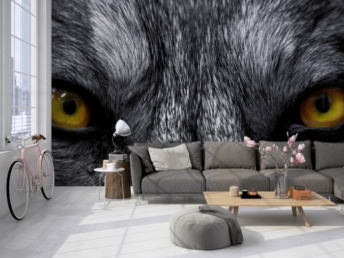 Die Fototapete Wolf im Blick auf einer großen Wand im Loft tapeziert. Die Fototapete Wolf im Blick wird individuell auf Deine Wand angepasst.