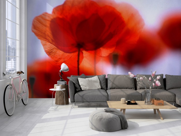 Die Fototapete Mohn Blumen auf einer großen Wand im Loft tapeziert. Die Fototapete Mohn Blumen wird individuell auf Deine Wand angepasst.