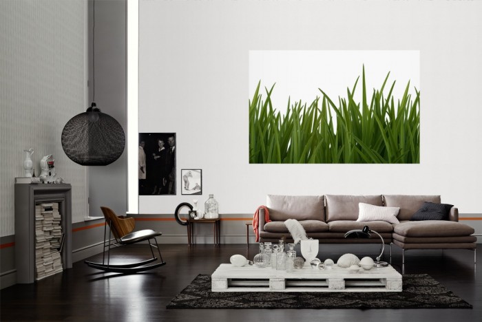 Die Fototapete Gras, dunkelgrüne Grashalme als Wandbild im Wohnzimmer. Die Vlies-Fototapete Gras, dunkelgrüne Grashalme verschönert als Wandbild Deine Wand.
