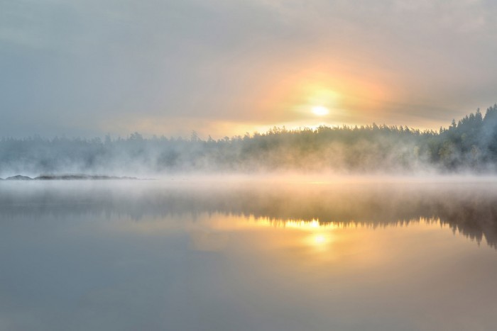 Die Fototapete Waldsee am Morgen, Schweden, eine Vlies-Fototapete bei Livingwalls Cologne online kaufen. Die Fototapete Waldsee am Morgen, Schweden ist eine Fototapete auf Maß.