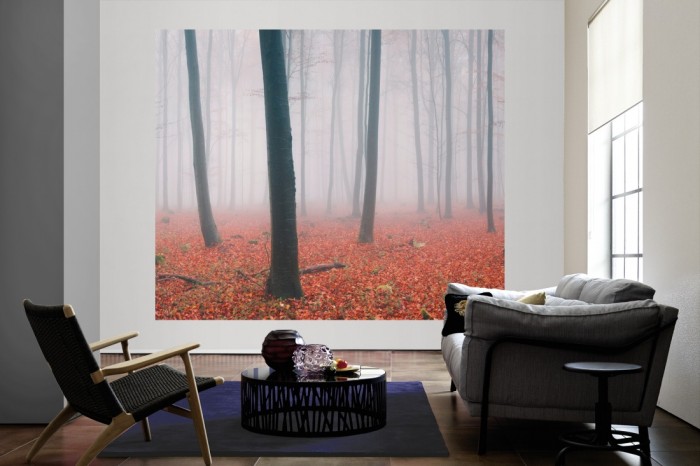 Die Fototapete Wald im Herbstnebel als große Bildtapete im Wohnzimmer. Als Bildtapete ist die Fototapete Wald im Herbstnebel ein besonderes Highlight auf Vliestapete.