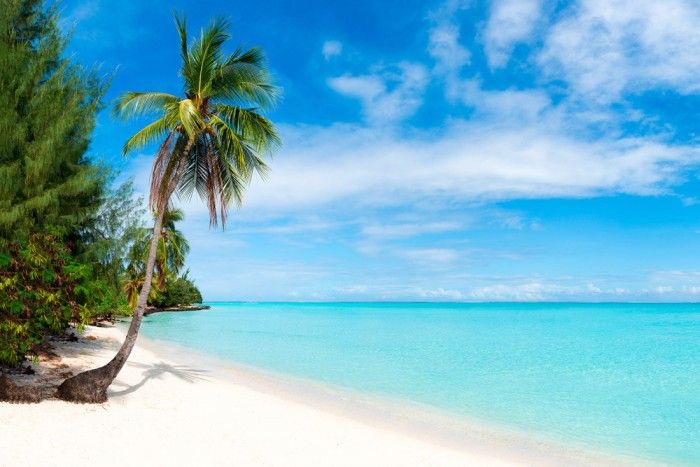 Die Fototapete Strand in der Karibik, eine Vlies-Fototapete bei Livingwalls Cologne online kaufen. Die Fototapete Strand in der Karibik ist eine Fototapete auf Maß.