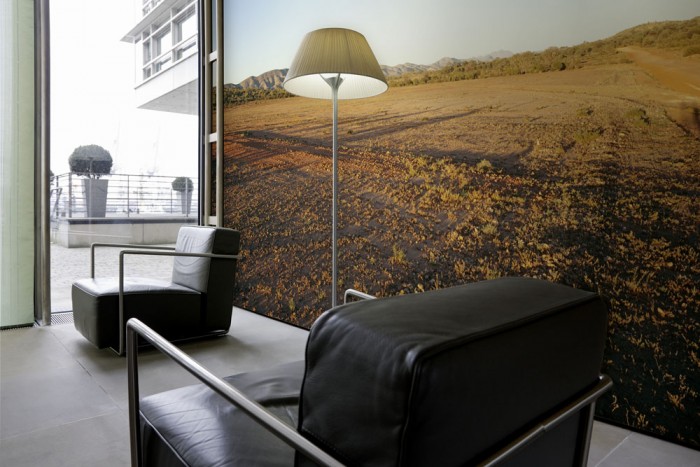 3D-Fototapete Australiens Wüste