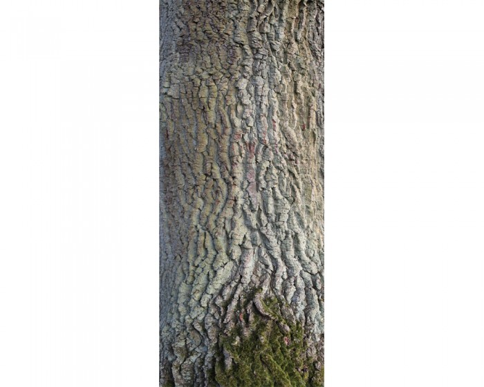 Du möchtest die selbstklebende Türtapete Baumstamm online bestellen, aber die Maße passen nicht auf Deine Tür? Kontaktiere uns einfach!