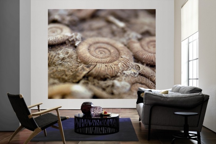 Die Fototapete Fossil als große Bildtapete im Wohnzimmer. Als Bildtapete ist die Fototapete Fossil ein besonderes Highlight auf Vliestapete.