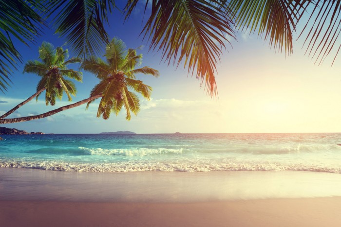 Die Fototapete Strand bei Sonnenuntergang auf den Seychellen, eine Vlies-Fototapete bei Livingwalls Cologne online kaufen. Die Fototapete Strand bei Sonnenuntergang auf den Seychellen ist eine Fototapete auf Maß.