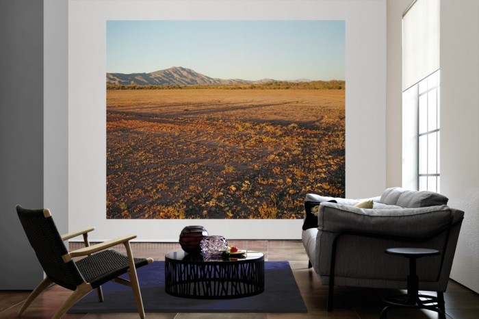 Die Fototapete Australiens Wüste als große Bildtapete im Wohnzimmer. Als Bildtapete ist die Fototapete Australiens Wüste ein besonderes Highlight auf Vliestapete.