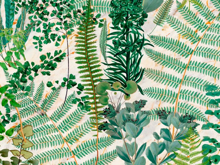 Detailansicht der Selected Walls Tapete St. Moritz Fern Wallpaper Col. 01