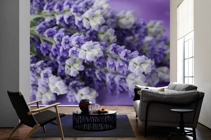 Im Wohnzimmer die Fototapete Lavendel Bündel im Detail auf einer großen Wand tapeziert. Die Fototapete Lavendel Bündel im Detail ist als Vlies-Fototapete im Wohnzimmer leicht zu tapezieren.