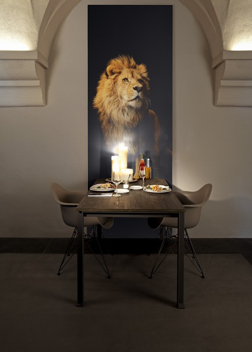 Ein Foto von dem 3D-Fotopanel Löwe mit schwarzem Hintergrund tapeziert im Raum. Bestelle Deine Bildtapete online.
