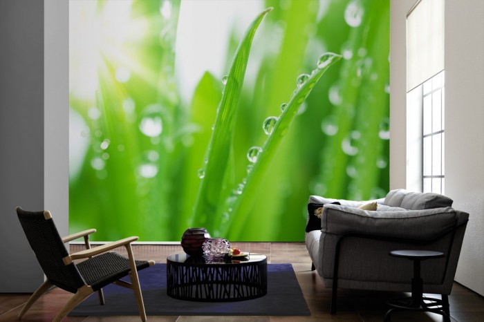 Im Wohnzimmer die Fototapete Gras mit Wassertropfen auf einer großen Wand tapeziert. Die Fototapete Gras mit Wassertropfen ist als Vlies-Fototapete im Wohnzimmer leicht zu tapezieren.