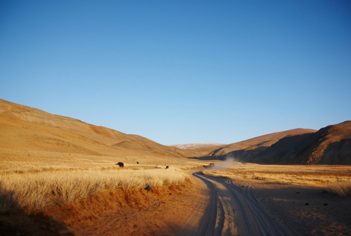 Die Fototapete Grassland in Amerika, eine Vlies-Fototapete bei Livingwalls Cologne online kaufen. Die Fototapete Grassland in Amerika ist eine Fototapete auf Maß.