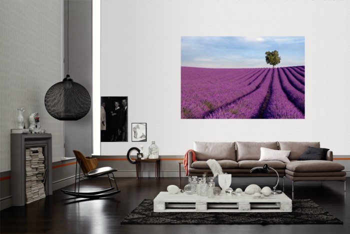 Die Fototapete Dichtes Lavendel Feld, Provence Frankreich als Wandbild im Wohnzimmer. Die Vlies-Fototapete Dichtes Lavendel Feld, Provence Frankreich verschönert als Wandbild Deine Wand.