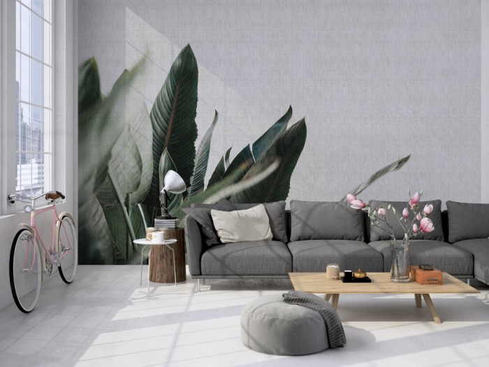 Little Urban Jungle Wallpaper