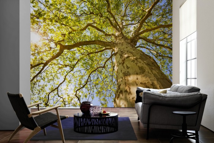 Im Wohnzimmer die Fototapete Baum, Baumkrone im Sonnenschein auf einer großen Wand tapeziert. Die Fototapete Baum, Baumkrone im Sonnenschein ist als Vlies-Fototapete im Wohnzimmer leicht zu tapezieren.