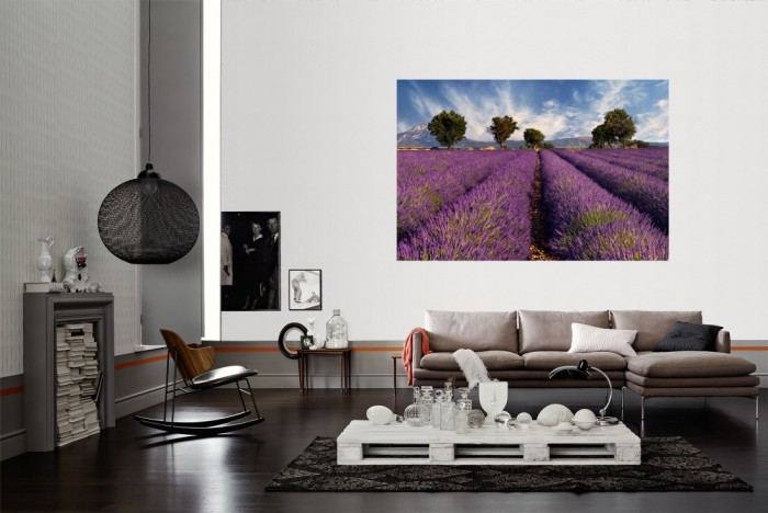 Die Fototapete Lavendel Feld der Provence, Frankreich als Wandbild im Wohnzimmer. Die Vlies-Fototapete Lavendel Feld der Provence, Frankreich verschönert als Wandbild Deine Wand.