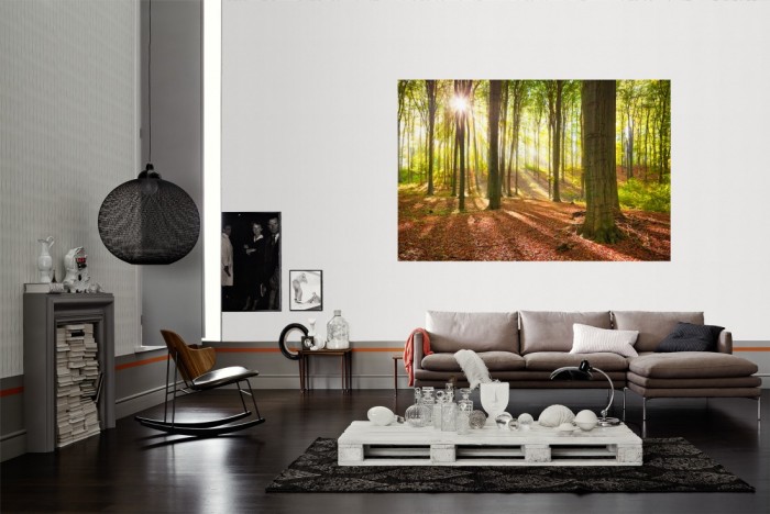 Die Fototapete Wald im Sonnenlicht als Wandbild im Wohnzimmer. Die Vlies-Fototapete Wald im Sonnenlicht verschönert als Wandbild Deine Wand.