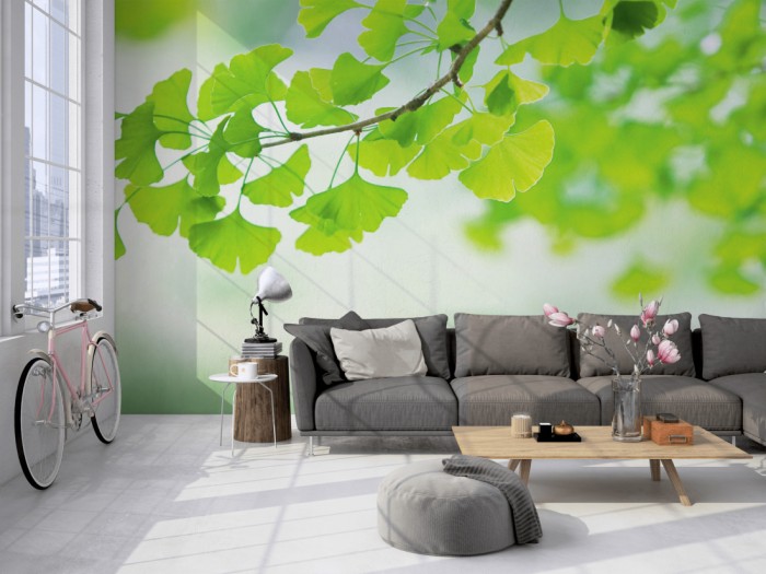 Die Fototapete Ginkgo am Zweig auf einer großen Wand im Loft tapeziert. Die Fototapete Ginkgo am Zweig wird individuell auf Deine Wand angepasst.